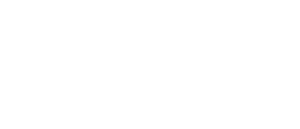 CE-Beratung: Logo